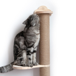 Nieuwste Stijlen Kat Activiteit Boom Kras Palen Muur Gemonteerd Hout Eco-Vriendelijke Krabber Grenen Hangmat 5 Stuks Huisdier - Product Image 1