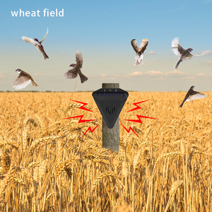 N911q năng lượng mặt trời-Powered hẹn giờ có hiệu quả ngăn chặn có hại chim bảo vệ cây trồng thúc đẩy bội thu hoạch không thấm nước chim Repeller - Product Image 6