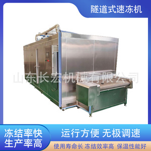 Congélateur tunnel continu pour aliments, R-404A, 380 V, porte simple, contrôle PLC, haute productivité - Product Image 5