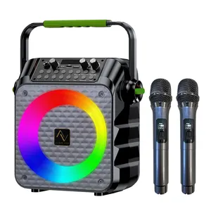 Vendeur populaire RMS 30W avec haut-parleurs 6.5 pouces gamme complète avec BT et microphone et fonction Jukebox numérique bon son haut-parleur