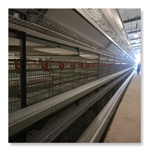 Tavuk döşeme için otomatik katman kafes kullanılan kanatlı pil tavuk kümesi satılık kuş kafesleri üzerinde en iyi fiyat - Product Image 5