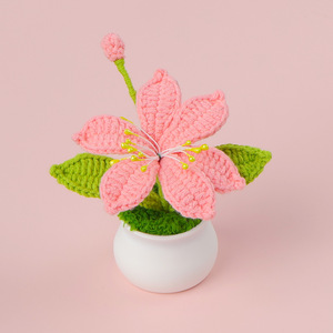 Bunga anggrek buatan tangan, Pot rajut untuk pacar Hari Valentine wisuda hadiah tanaman dekoratif - Product Image 2