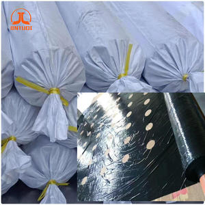 <span class=keywords><strong>Film</strong></span> plastique agricole perforé pour paillis de plantation - Product Image 5