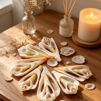 Coquille de conque naturelle découpée en forme de papillon, en gros, pour décoration de mariage, pendentif de boucles d'oreilles en résine