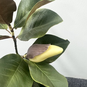 M562 hecho a mano lujoso Multi colores Real Touch seda <span class=keywords><strong>Magnolia</strong></span> hoja y ramas para boda Día <span class=keywords><strong>de</strong></span> la madre decoraciones <span class=keywords><strong>de</strong></span> Navidad - Product Image 4