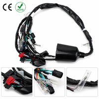 Harness Kabel Surya Tembaga Profesional dengan BMS untuk Sistem Penyimpanan Energi, Aplikasi Komputer dan Sepeda Motor