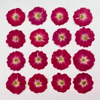 Roses séchées pressées et mini-fleurs de rose, pour la fabrication de bijoux en résine époxy DIY, ornements floraux séchés, cadeaux artisanaux pour les fêtes