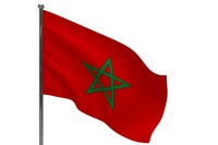 Drapeau du Maroc personnalisé avec logo professionnel, fabrication directe d'usine Nuoxin, 3*5, promotion, drapeau national