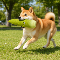 Jouet à mâcher pour chien en latex, naturel, non toxique, pour le nettoyage des dents, écologique, résistant aux morsures, jouet interactif pour molaires, motif végétal