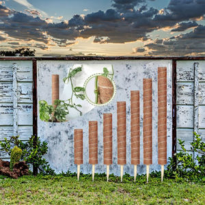 Varillas de Fibra de Coco Modernas para Plantas, Soporte de Musgo para Trepadoras, para Jardín e Invernadero, Tamaño 8mm, Fibra de Coco Cruda a Granel - Product Image 2