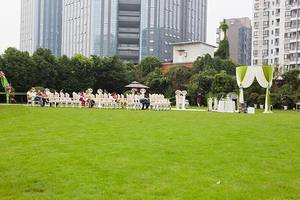 Gazon synthétique Eden Cheer, le <span class=keywords><strong>roi</strong></span> <span class=keywords><strong>du</strong></span> rapport qualité-prix, beau et élégant, pour aménagement paysager, tapis de gazon avec prix d'usine - Product Image 4