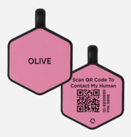 Benutzer definierte gravierte QR-Code Silikon Haustier ID Tags für Hund oder Katze