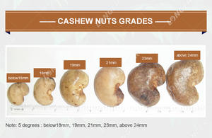 Macchina per la lavorazione degli anacardi del pelapatate del frantoio per la pulizia del vibratore del seme di Kaju Caju industriale in vendita - Product Image 4