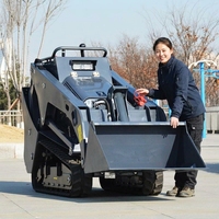 Mini-chargeuse compacte hydraulique V1100 sur chenilles, moteur diesel Kubota, pelle frontale, pompe, roulement, boîte de vitesses