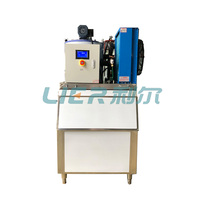 Machine à glace en flocons compacte LIER à économie d'énergie, 300 kg, 1T, 2T, moteur PLC, alimentation monophasée LR-05T, garantie 12 mois - Vente chaude