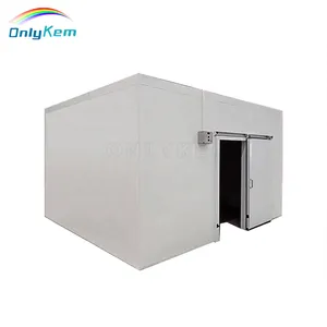 Commercial Cold Storage Room Industrial Refrigerator and Walk in Cooler & Freezer