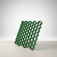 Grille de pavage perméable en plastique facile à installer, résistance de charge 200t/m², durée de vie 20 ans, pour pâturages équestres et situations d'urgence