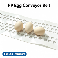 Bande transporteuse d'œufs en PP vierge, lisse et automatique, pour l'équipement de cages à poulets à plusieurs niveaux