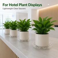 Soucoupe pour pot de plantes en plastique recyclable, soucoupe transparente pour pot de plantes