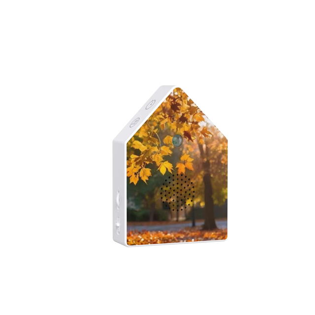 Electronic Sound Therapy Music Box with Bird & Nature Sounds Motion Sensor Activated Battery Powered Eco-Friendly Modern Design