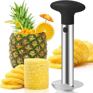 Pineapple Peeler Stainless Steel Fruit Cutter Parer Knife <b>Kitchen</b> <b>Gadgets</b> <b>Kitchen</b> Pineapple Peeler <b>Kitchen</b> <b>Tools</b> Accessories - Product Image 1