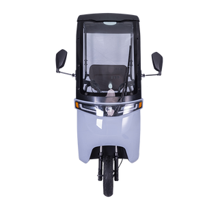 Triciclo Elettrico FGQ per Adulti a 3 Ruote con Cabina per Passeggeri - Product Image 1