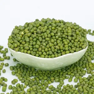 Newest Crop Cheap Price Mung Bean Wholesale Bulk Green Beans For Export