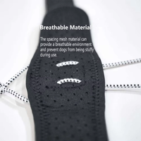 Attelle de protection pour pattes de chien, correcteur de pattes, attelle réglable pour pieds blessés, chaussures pour pattes avant et arrière