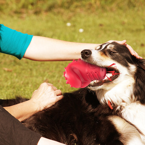 KINYU yeni çevre dostu diş çıkarma kauçuk köpek ses oyuncaklar-interaktif eğitim Bite dayanıklı 290g boks çiğnemek oyuncak - Product Image 4