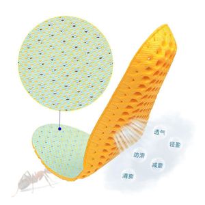 Comfortable & Washable EVA Sports Shoe <b>Insoles</b> Arch Support Shock Absorbing & Breathable Honeycomb Design - Product Image 2