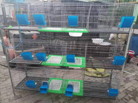 Nouvelle cage à lapins en fil de fer galvanisé en acier inoxydable à longue durée de vie, type H, 4 couches, résistante à la corrosion, garantie 1 an