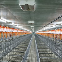 Bâtiment préfabriqué à structure en acier à grande portée et haute résistance pour l'élevage de bétail et de moutons, à faible coût, en promotion