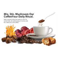 Café aux champignons 10 champignons Crinière de lion Cordyceps Queue de dinde Mélangé avec de l'arabica gourmet Café instantané stimulant l'immunité