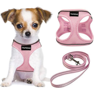 Arnés para Perro de Diseño Personalizado con <span class=keywords><strong>Collar</strong></span> y Correa a Juego, Arnés Ajustable para Perro Teddy, Chaleco de Malla Reflectante para Pecho y Espalda - Product Image 1