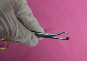 Forceps de sujeción de hueso de placa, instrumentos ortopédicos de 5,5 pulgadas, pinzas quirúrgicas CE - Product Image 3