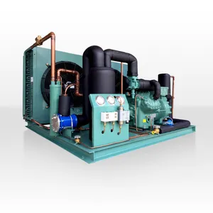 40HP ouvert type R404 unité extérieure compresseur de condensation pour chambre froide