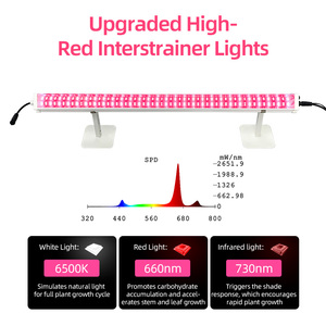 Lampe de culture LED sous-canopée ANDY 1,2 m 150 W Spectre Rouge Profond IP65 3 mol/J 270 éclairage trois côtés pour la croissance et la floraison des plantes - Product Image 3