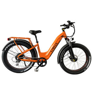 <span class=keywords><strong>MTB</strong></span> 26 pulgadas fuera de carretera Fat Bike 48V 14ah impermeable hombres mujeres montaña mejor bicicleta eléctrica - Product Image 2