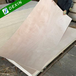 1220x2440mm 5mm 9mm 18mm <span class=keywords><strong>compensato</strong></span> commerciale <span class=keywords><strong>di</strong></span> legno <span class=keywords><strong>di</strong></span> <span class=keywords><strong>pioppo</strong></span> Okoume / Bintangor <span class=keywords><strong>compensato</strong></span> impiallacciato dal produttore della Cina - Product Image 3