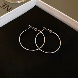 Minimalist Metal Hoop Niche High-end Luxury Fashion <b>Small</b> Cold Style Design Sense <b>Earrings</b> - Product Image 6