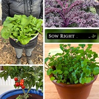 Système de culture hydroponique d'intérieur polyvalent pour la culture au sol de laitue, pak choi, cresson et tomates cerises