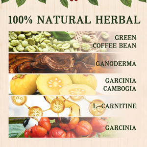 Café Verde <span class=keywords><strong>Ganoderma</strong></span>, Café Instantáneo, Suplemento Dietético para la Salud, Energía, Bienestar, Refuerzo Inmunológico, Nootrópicos Herbales, Multivitamínico - Product Image 3