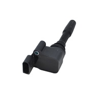 Car Engine Parts 07P905110B for Bentley Bentayga Continental Ignition Coil