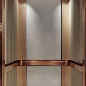 Best Selling Stainless Steel Passenger <b>Elevator</b> Modern Design PVC Multi-Function Safety Protection for Residential Warehouse - Product Image 6
