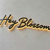 Lettres lumineuses LED personnalisées avec alimentation AC/DC pour les entreprises de publicité, les bars, les bâtiments - Utilisation directionnelle, multicolores, IP65