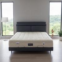 Matelas anti-pression à faible densité ignifuge pour chambre à coucher Matelas pour dormeurs latéraux