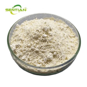 Extracto de <span class=keywords><strong>Mondia</strong></span> Whitei, Polvo de Jengibre Blanco Puro, Polvo de Raíz de <span class=keywords><strong>Mondia</strong></span> Whitei - Product Image 2