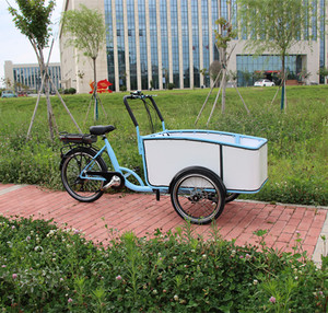 Vélo électrique à cadre en alliage d'aluminium Vélo <span class=keywords><strong>cargo</strong></span> électrique familial <span class=keywords><strong>danois</strong></span> - Product Image 2