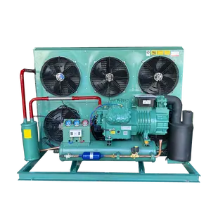 Bon compresseur de systèmes de refroidissement Mini unité de condensation refroidie par air