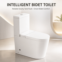 WC intelligent à poser au sol certifié CE, avec bidet intégré, sans bride, à chasse directe, siphon S/P, réservoir d'eau, pour projets, vente en gros directe usine